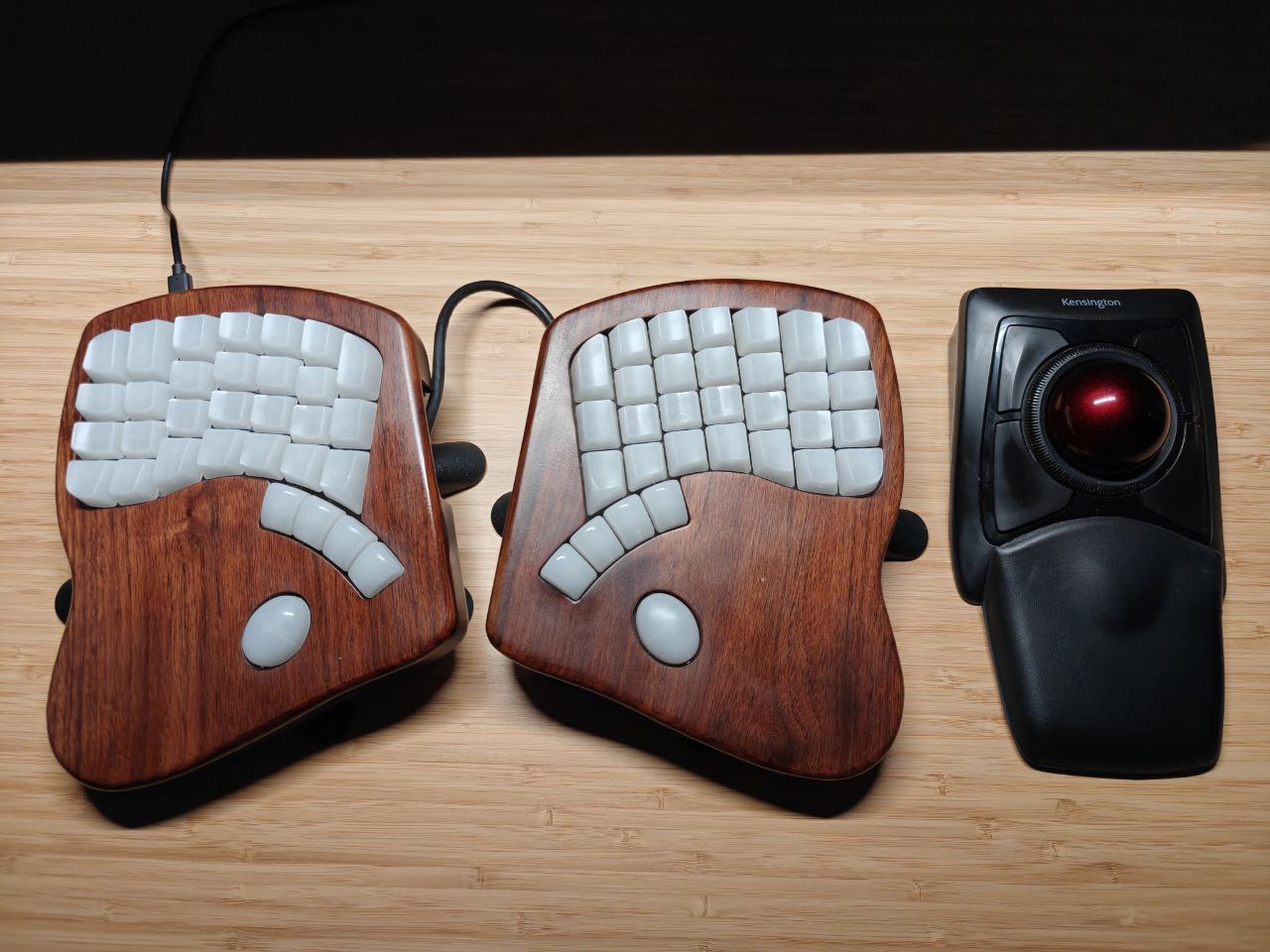 Kensington Expert Mouse